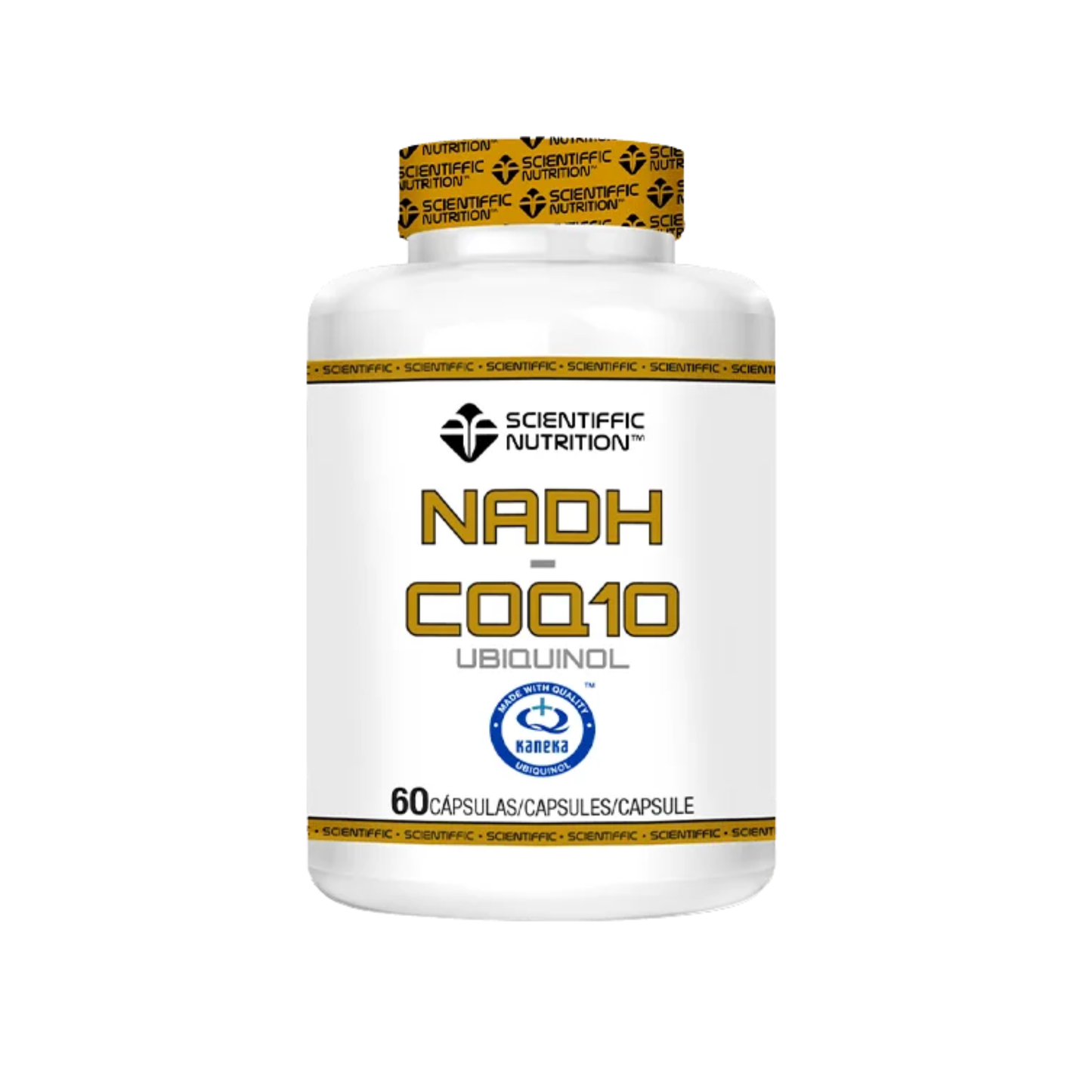 NADH + COQ10